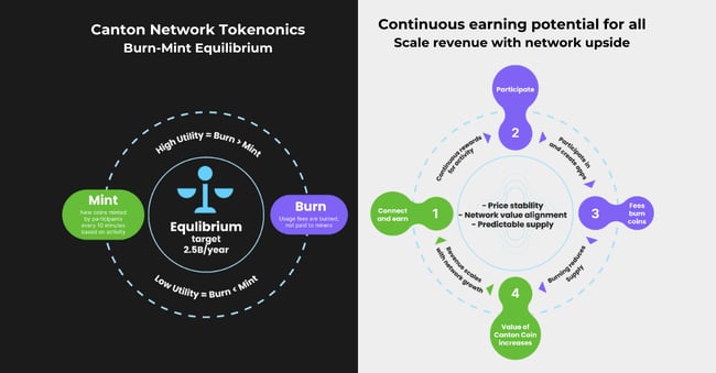 CN Tokenomics-1