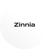 zinnia